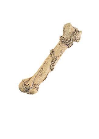 femur-bone-prop-35.png