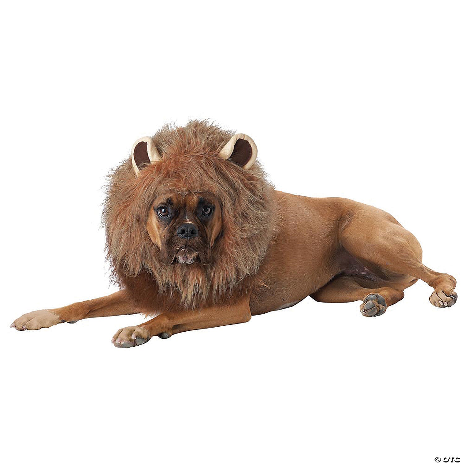 king of the jungle dog costume   large~ccpet20166lg-a01