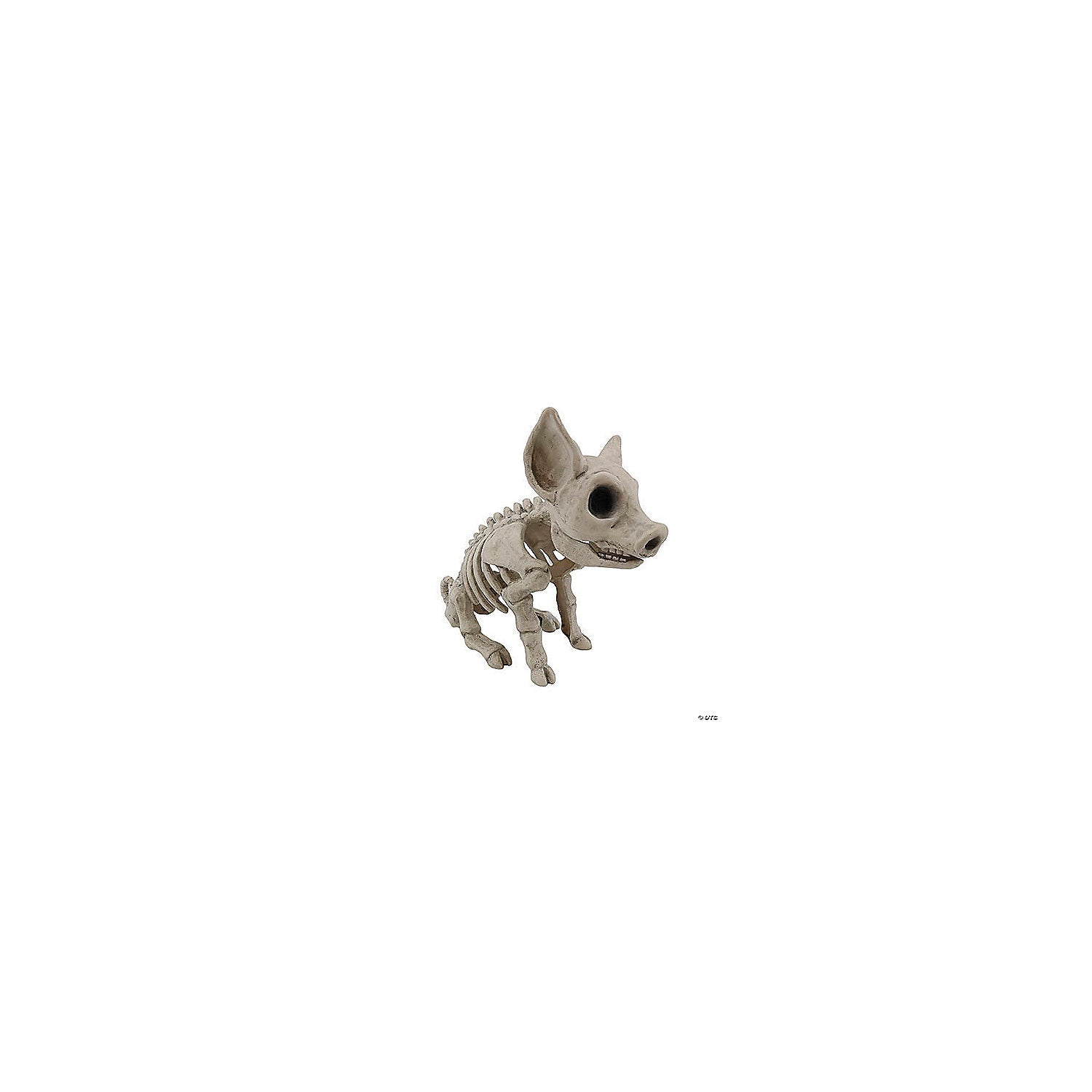 9 3/4" Sitting Pig Plastic Skeleton Halloween Tabletop Decoration