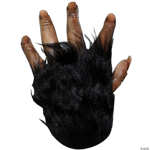 adults brown chimp hands~tb25310-a01