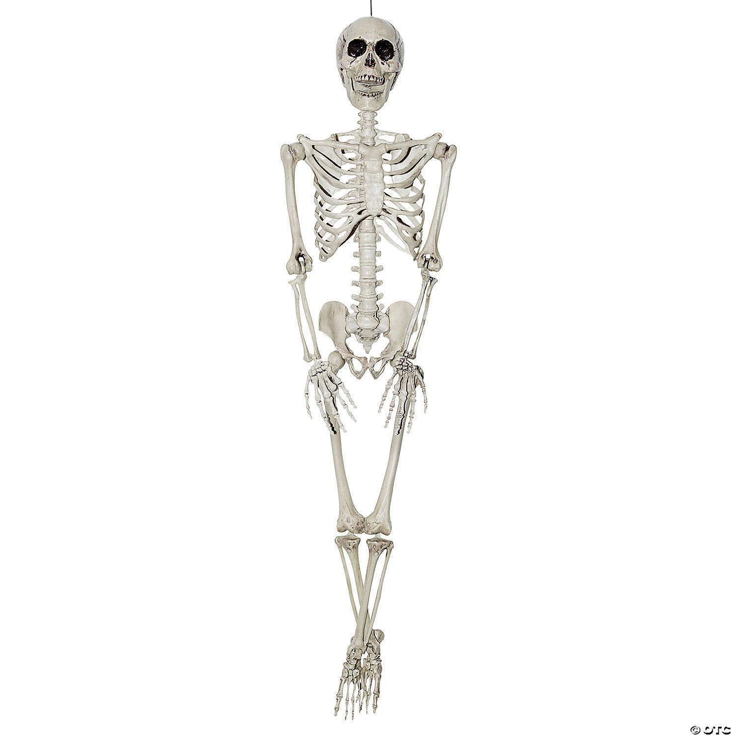 3  hanging skeleton halloween decoration~ss80010