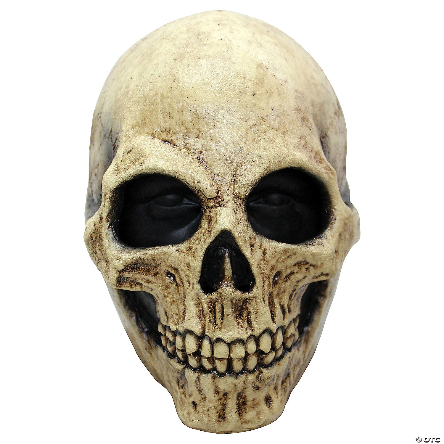 adults bone skull mask~tb26157