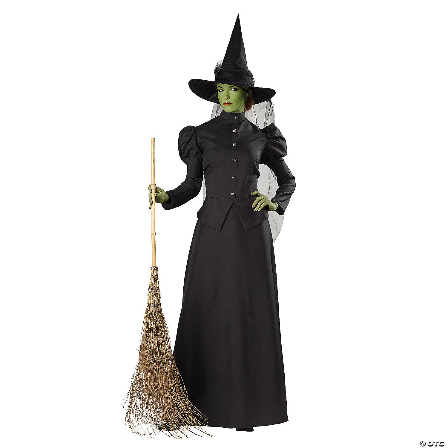 Plus Size Classic Deluxe Witch Costume