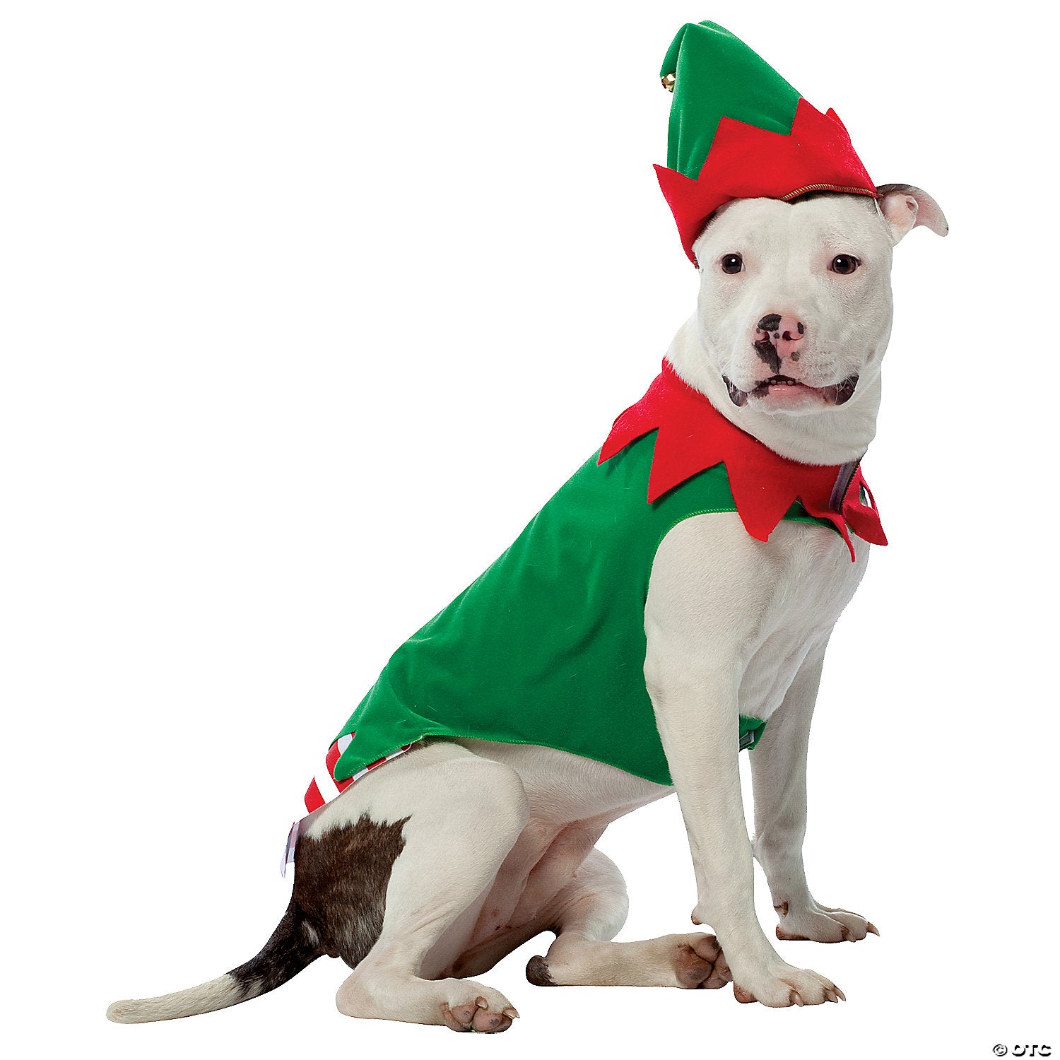 Elf Pet Costume Small