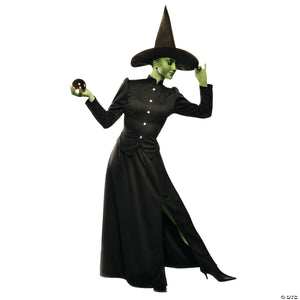 women& 8217 s deluxe classic witch costume   extra large~aa86001xl