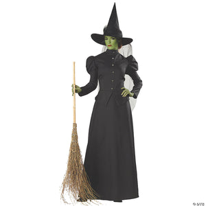 women& 8217 s deluxe classic witch costume   small~mr147619sm