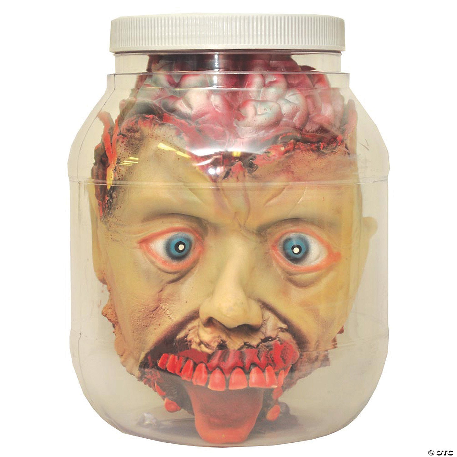 head in jar halloween decoration~fm53282