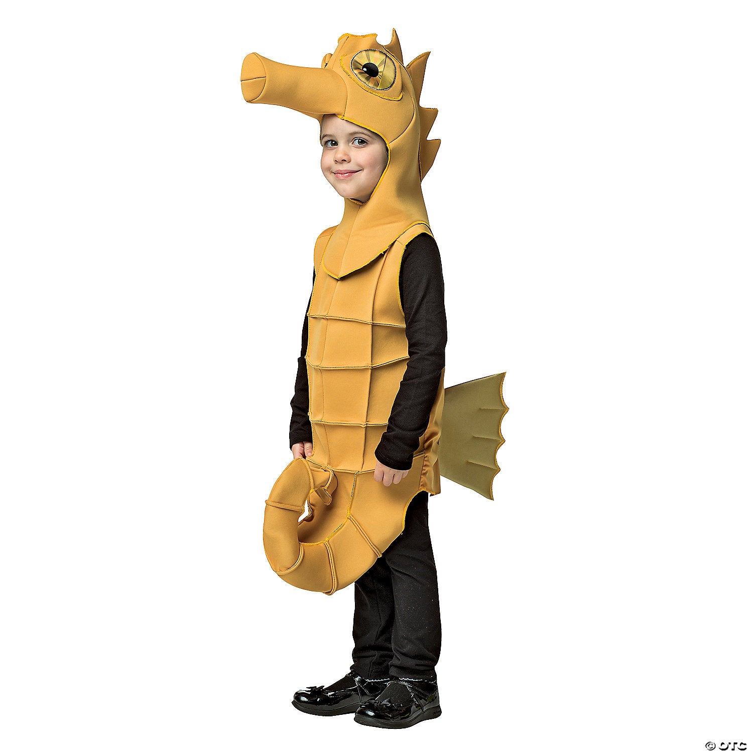 kids seahorse costume~gc670446