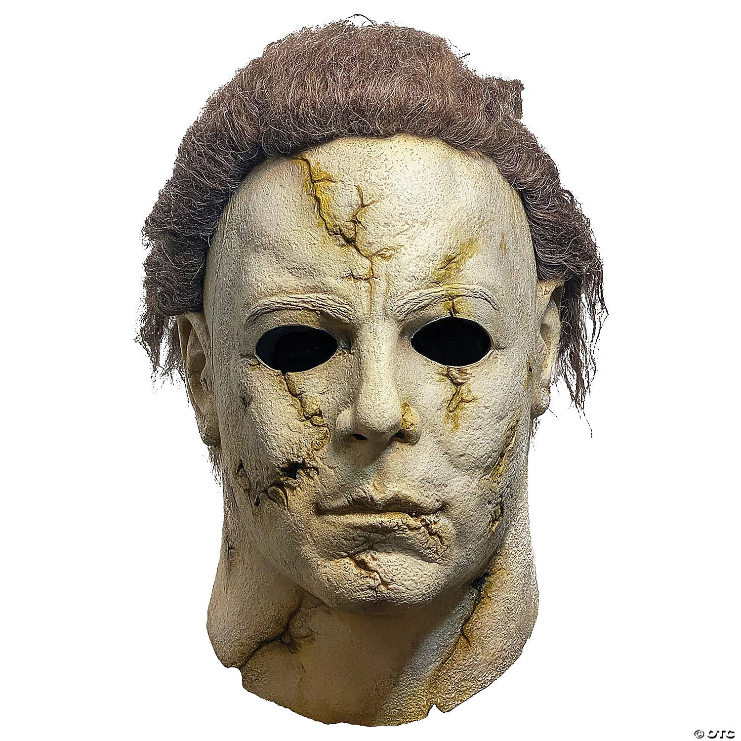 Halloween II™ (2009) Michael Myers Mask Costume Accessory