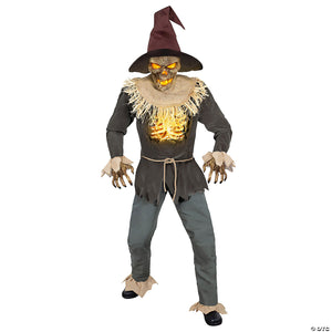 2 ft  animated scarecrow halloween decoration~tt59520-a01