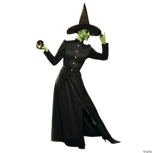 women& 8217 s deluxe classic witch costume   large~aa86001lg