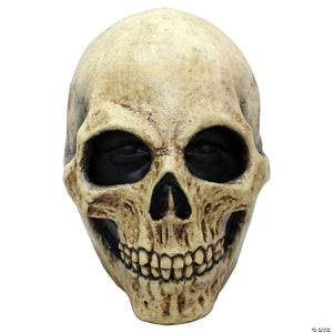 adults bone skull mask~tb26157