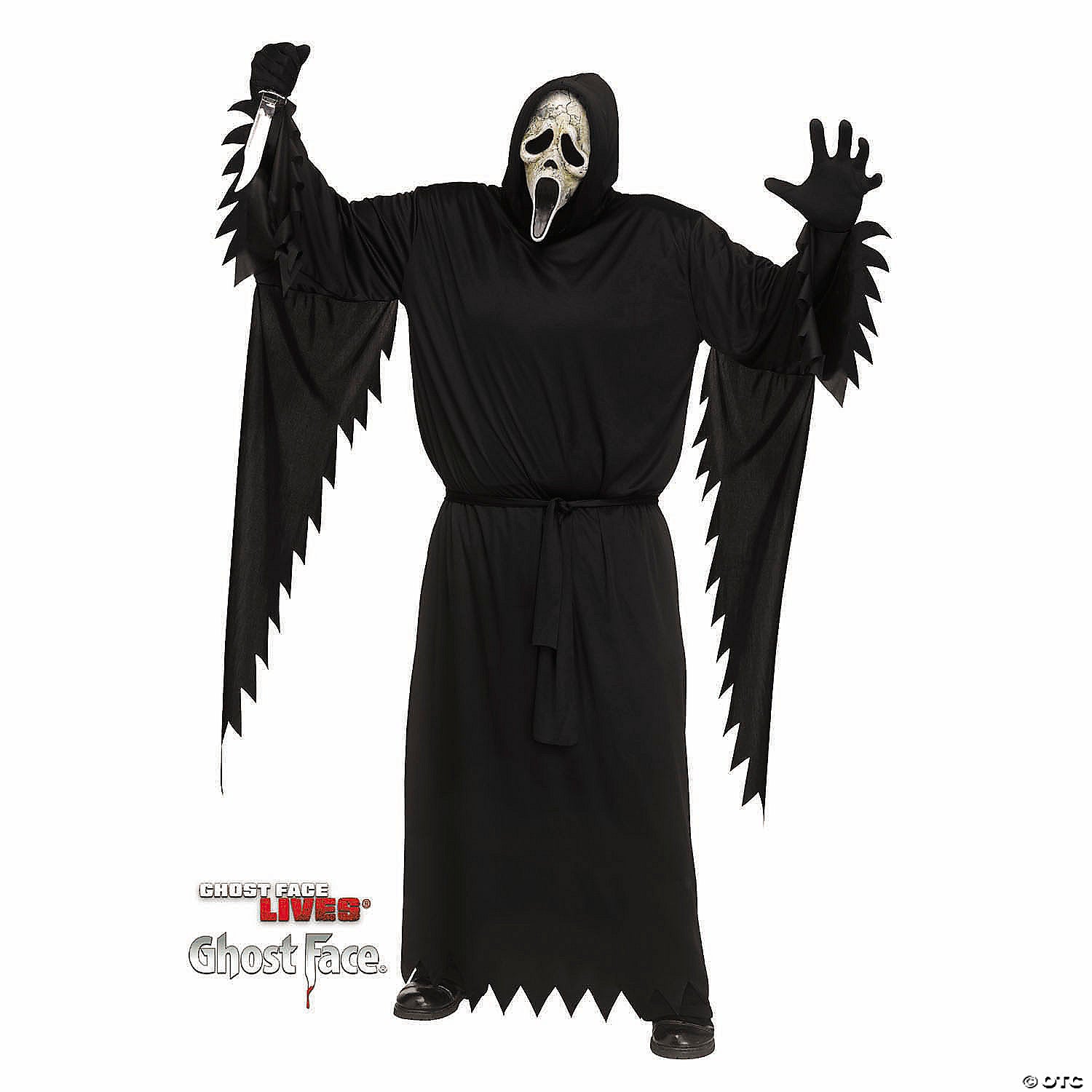 sup  aged plus size costume~fw134265