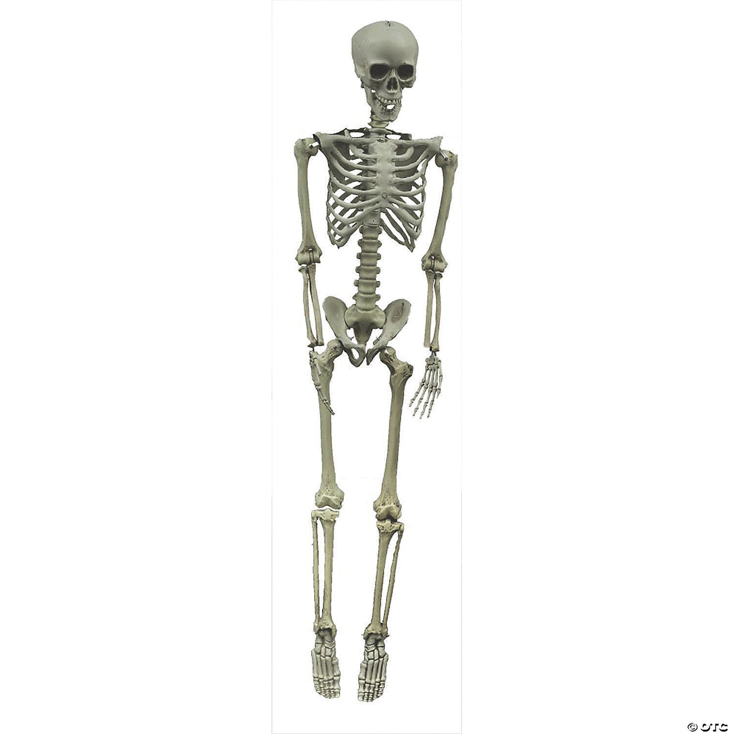 life size hanging skeleton halloween decoration~pe42022