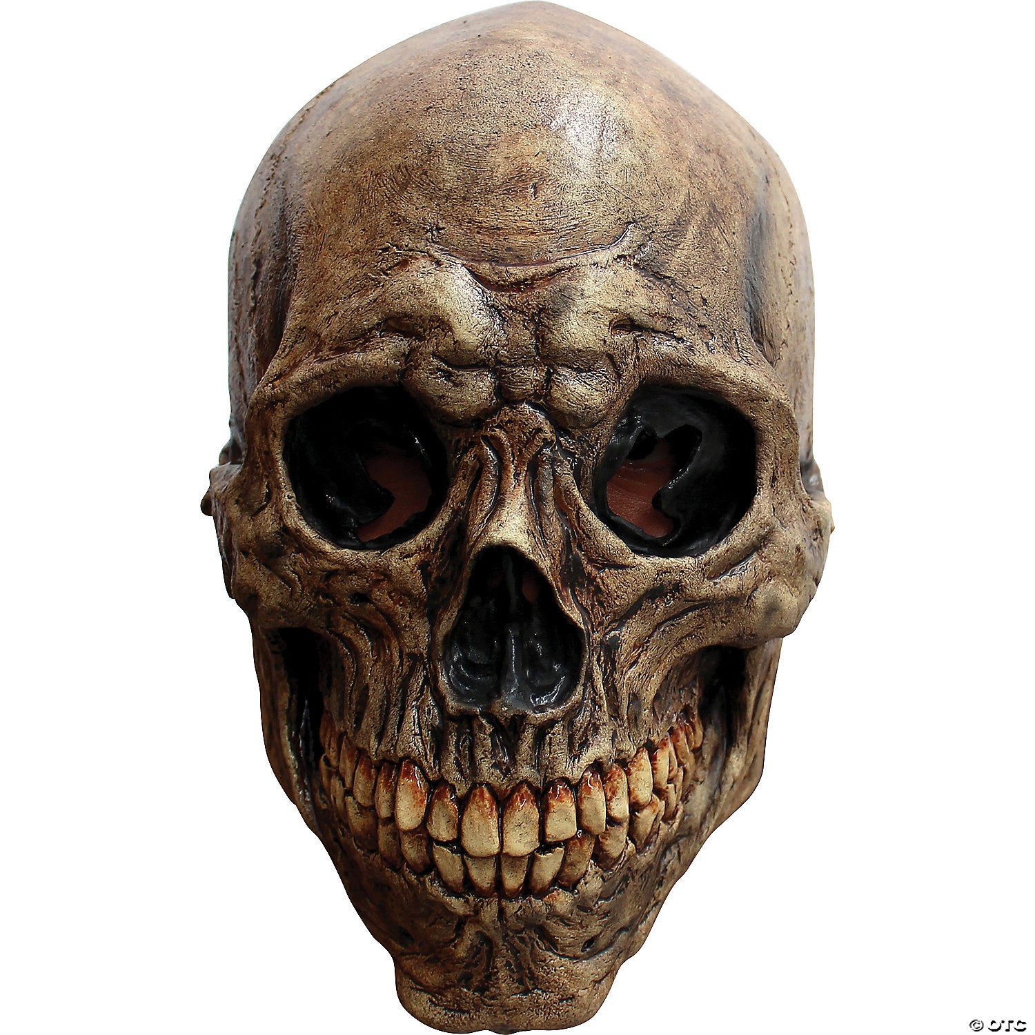 adult ancient skull mask~tb26683