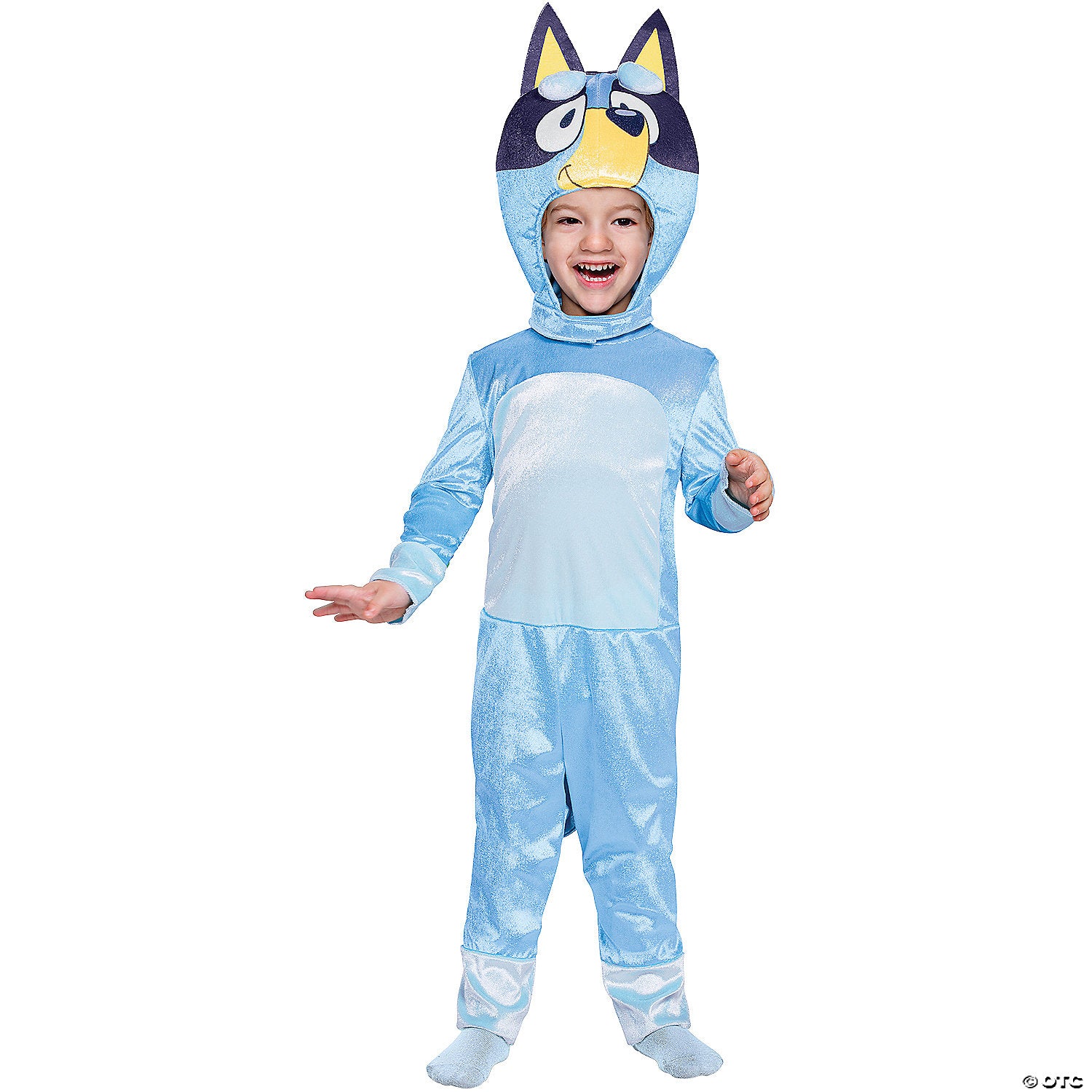 toddler classic bluey costume   2t~dg121079s