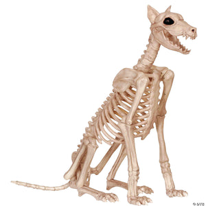 doberman skeleton~se18386