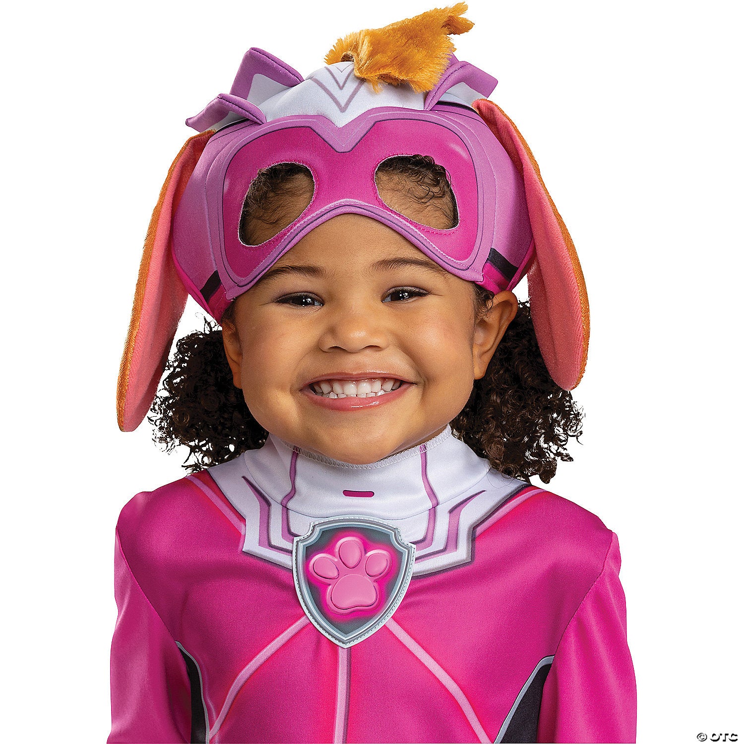 toddler classic paw patrol skye costume 4 6~dg154729l-a02