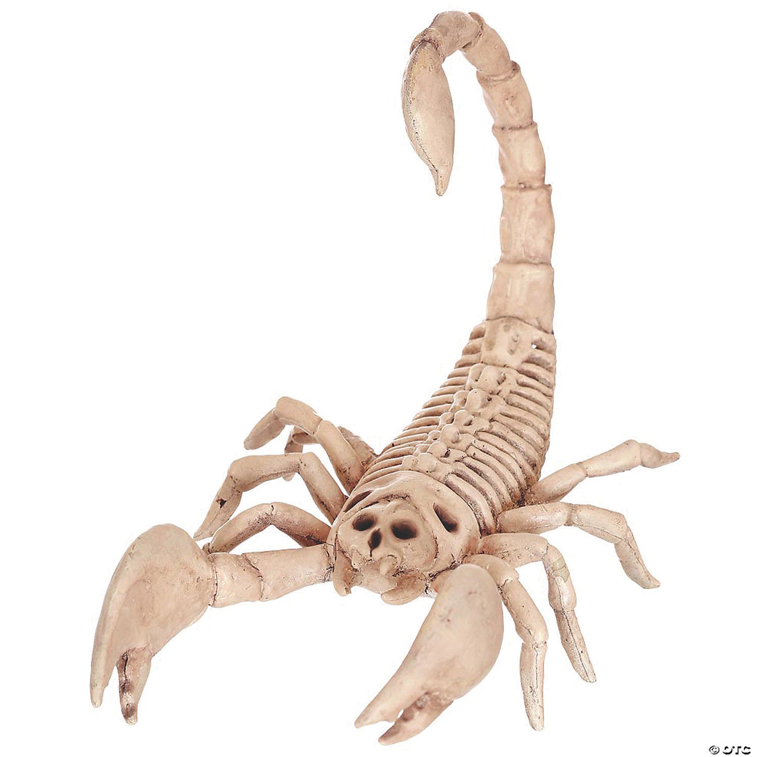 scorpion skeleton halloween decoration~se18214