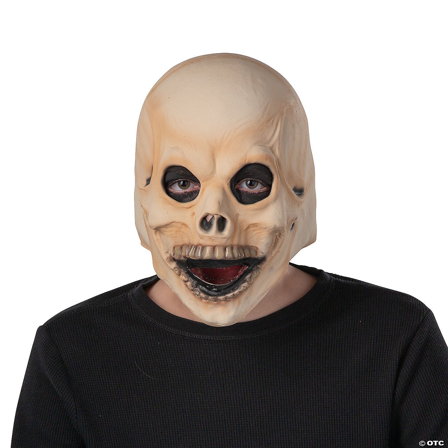 small skull mask~1011