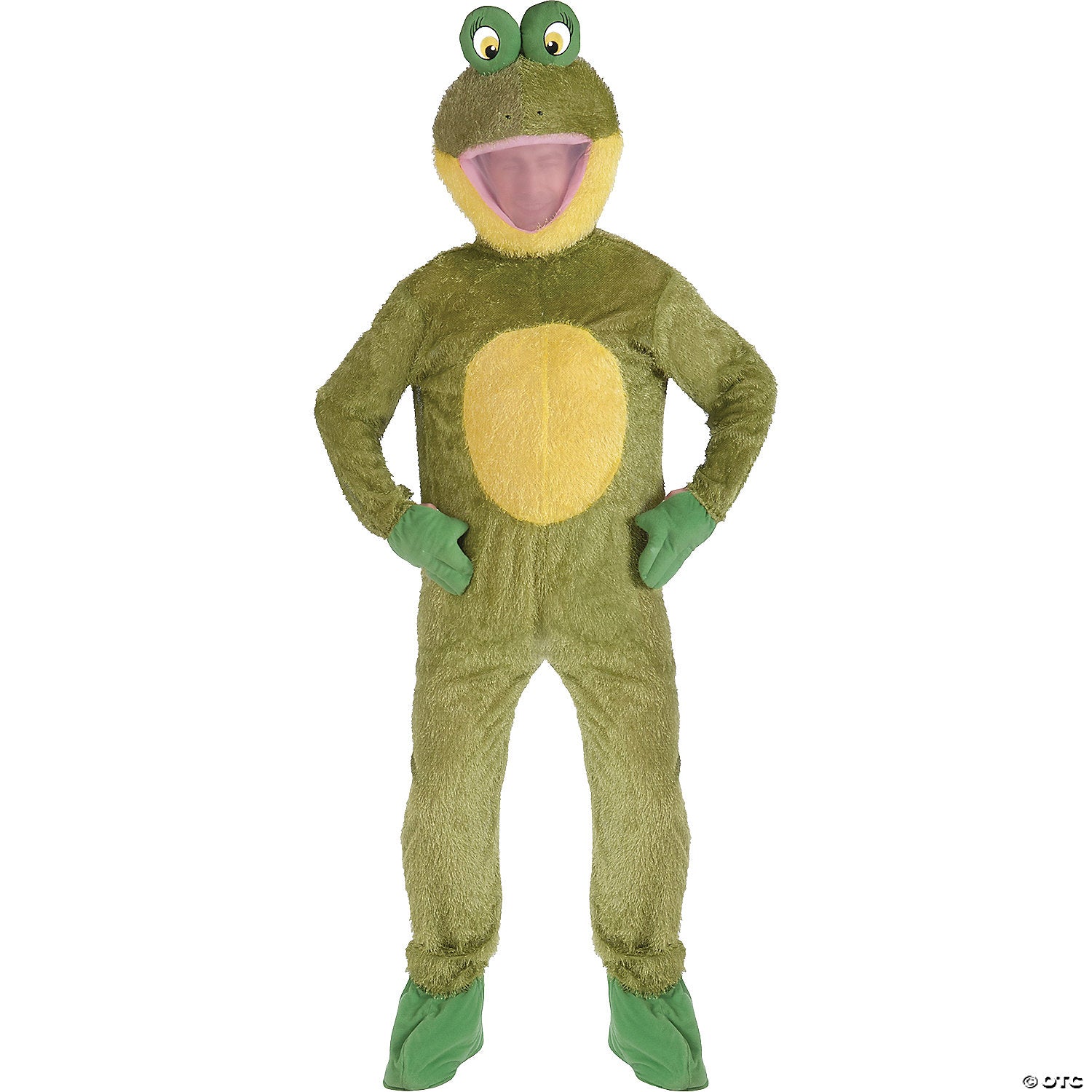 adult frog mascot~fm69592