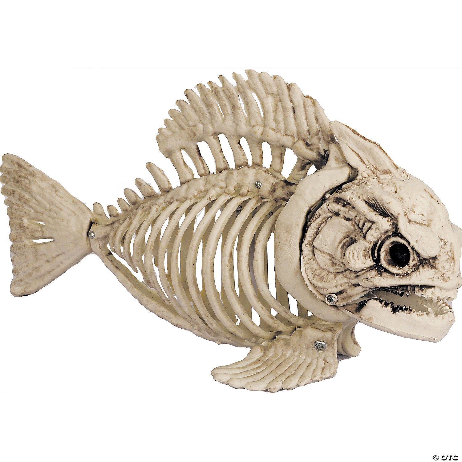 fish skeleton decoration~ss72749-a02