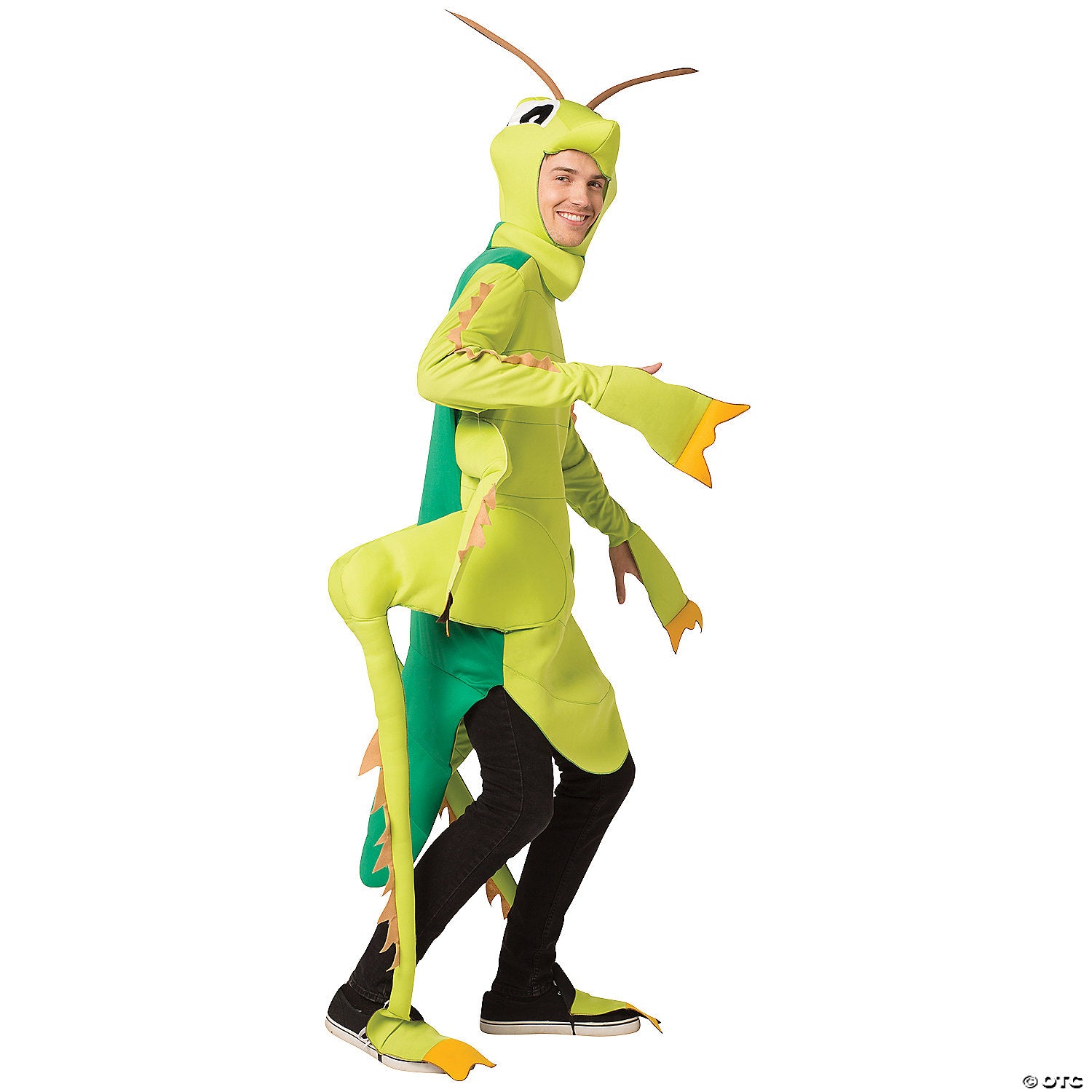 adults grasshopper costume~gc3112-a02