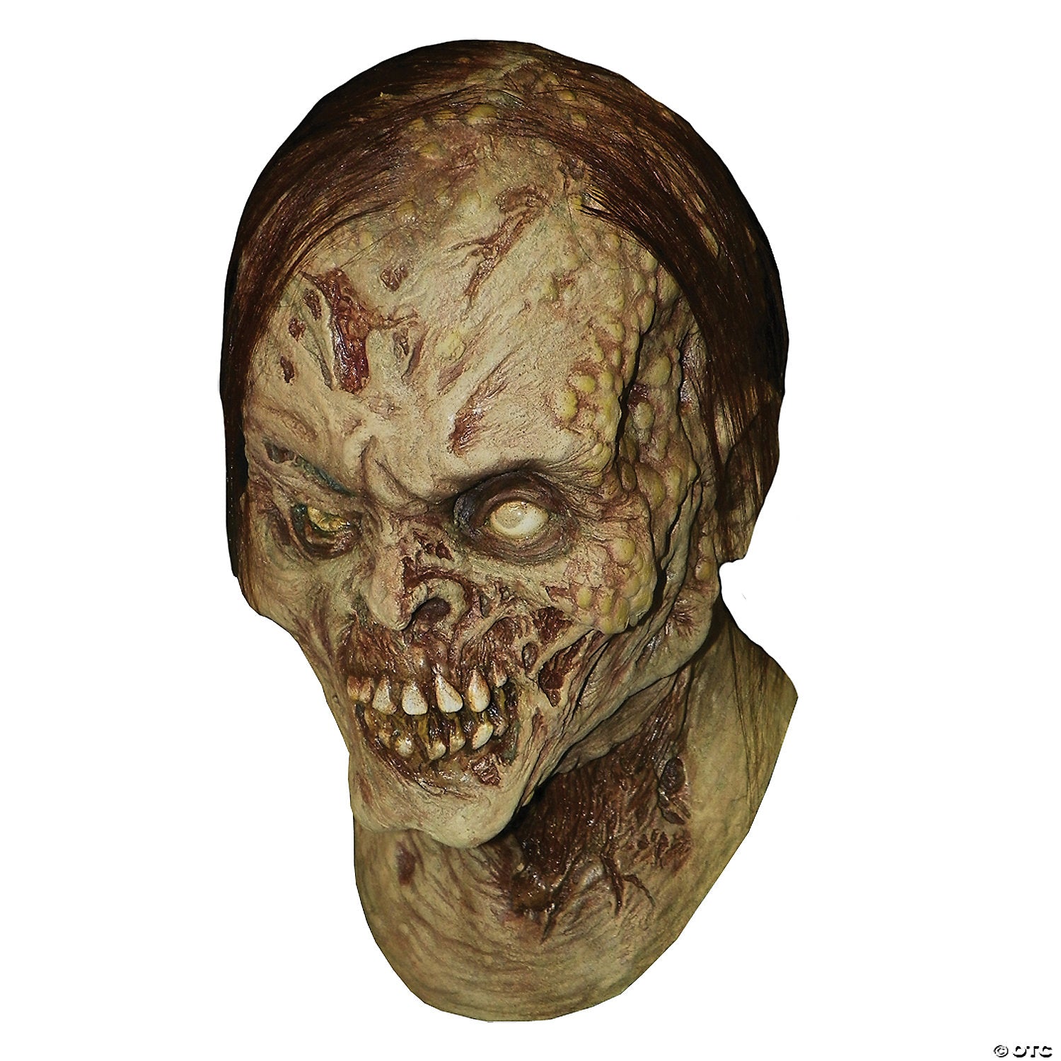 adults rotting zombie mask~ma13-a01