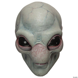 visitor adult mask~osm3401