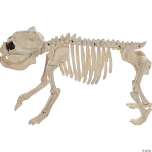 bones the dog skeleton halloween decoration~sez18986-a03