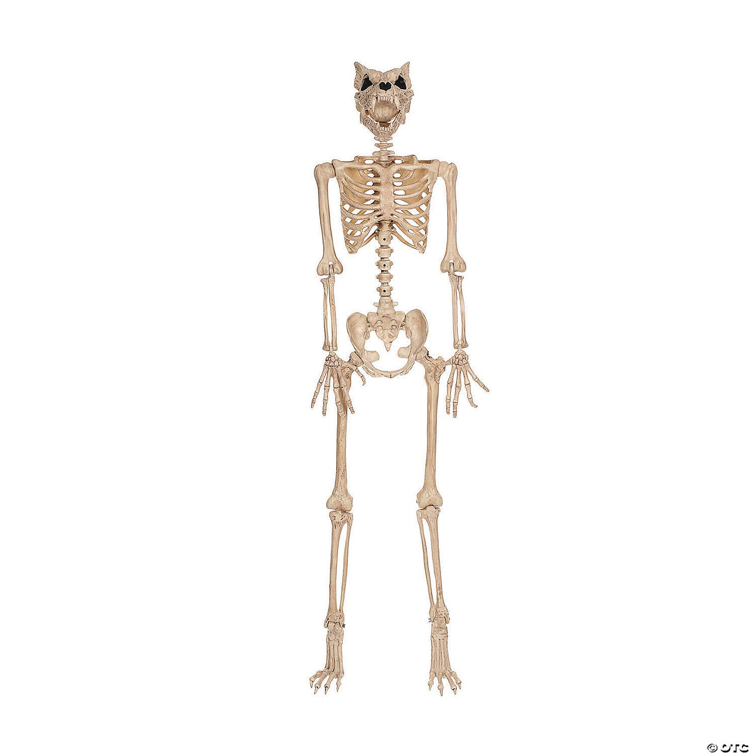 5 ft  werewolf skeleton halloween decoration~sez28269