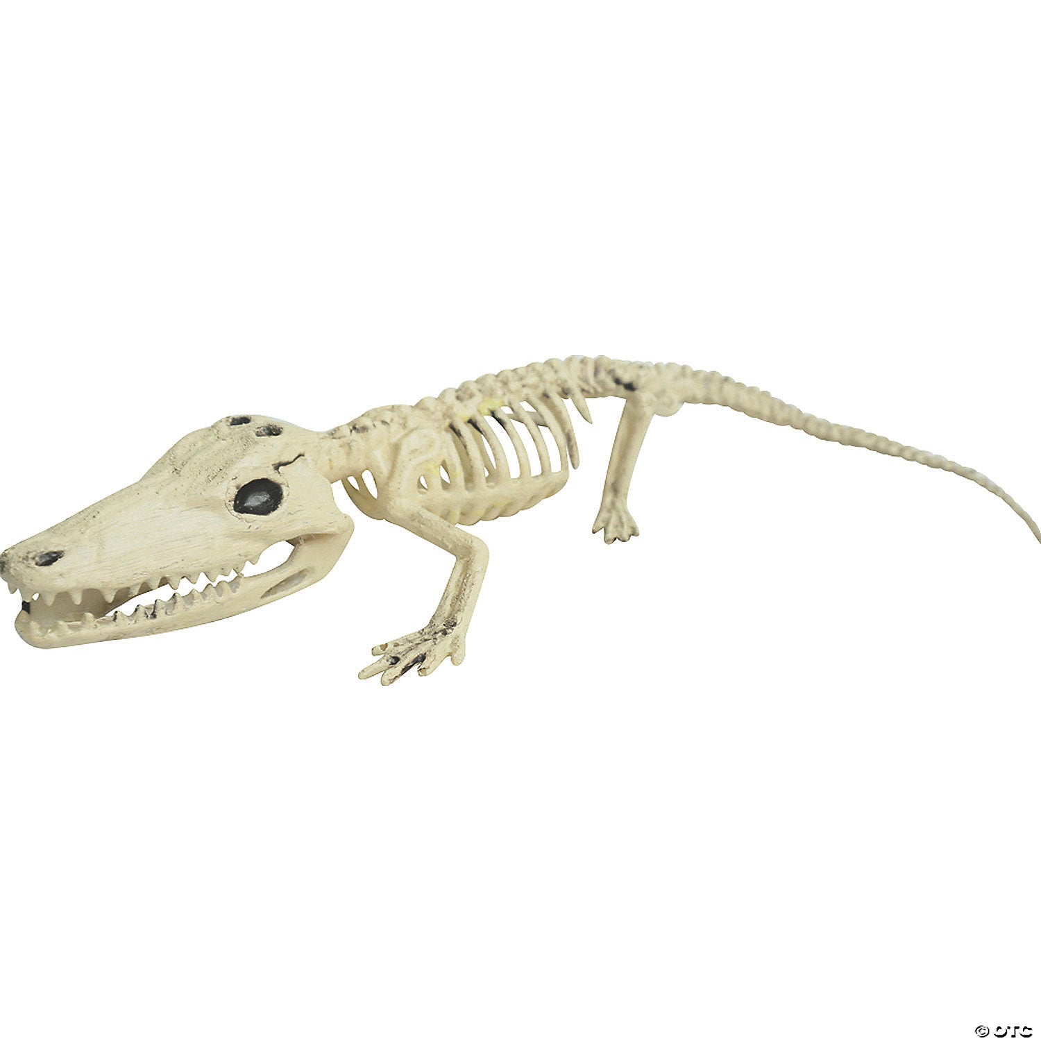 alligator skeleton halloween decoration~ss60937