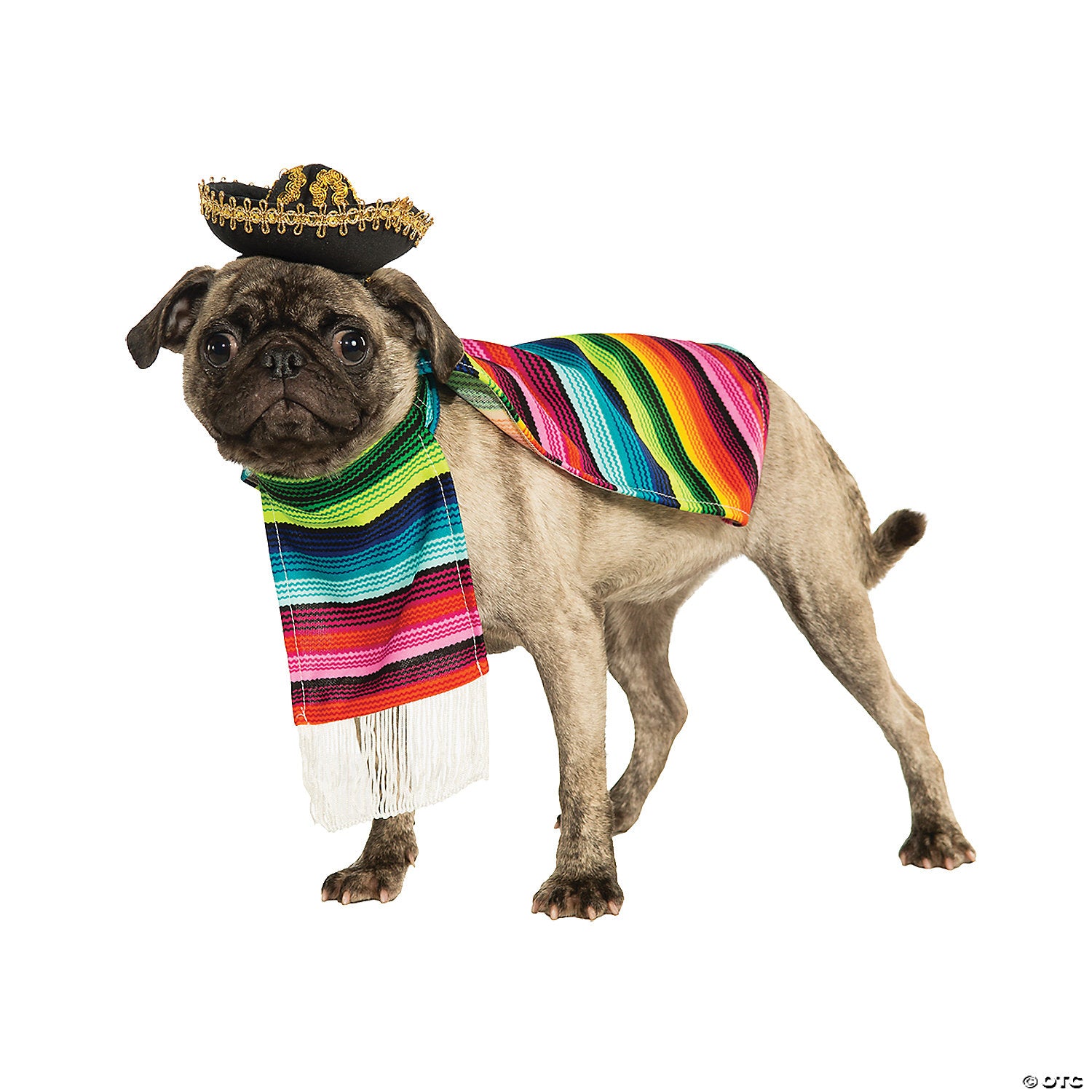 Mexican Serape Dog Costume