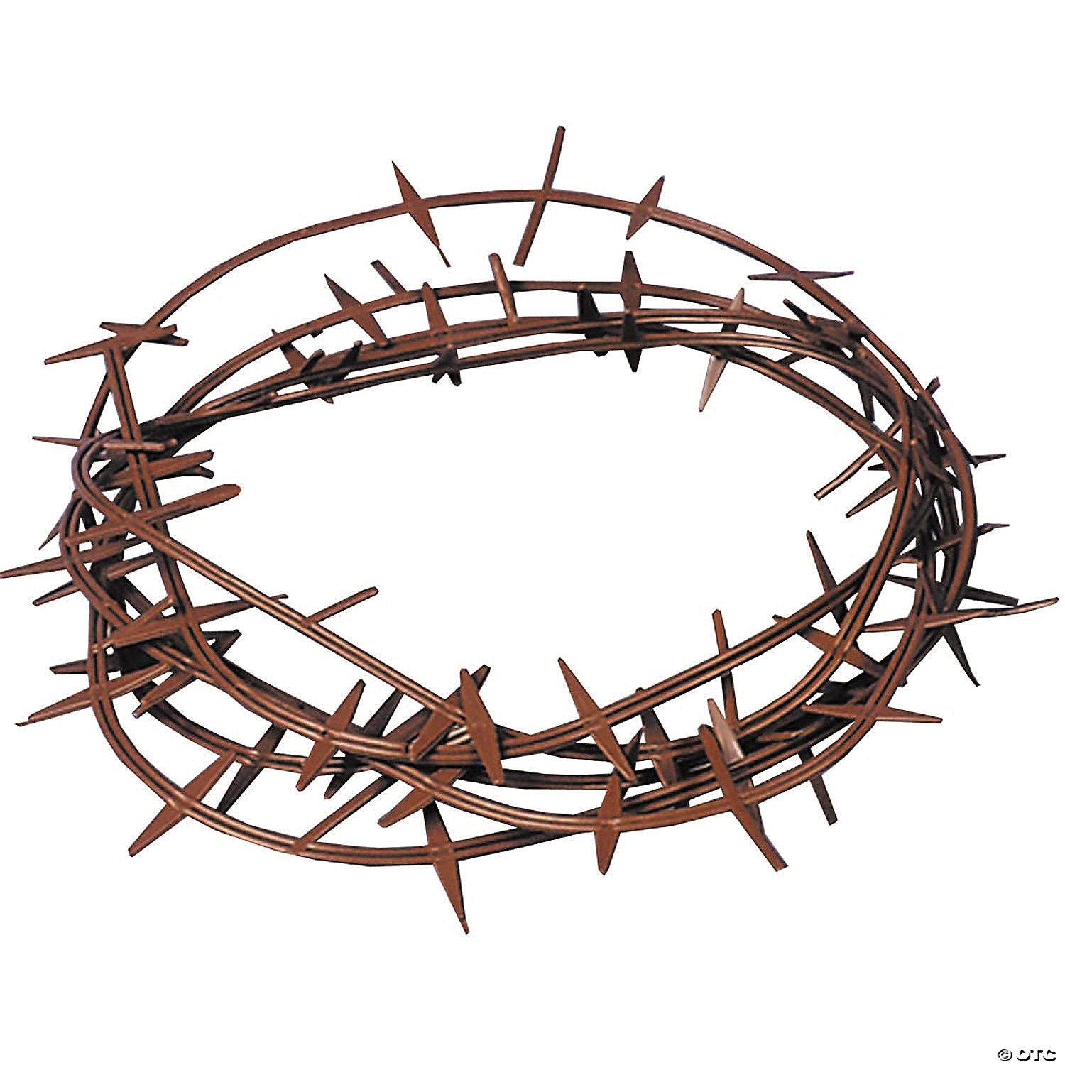 adults crown of thorns~gb22