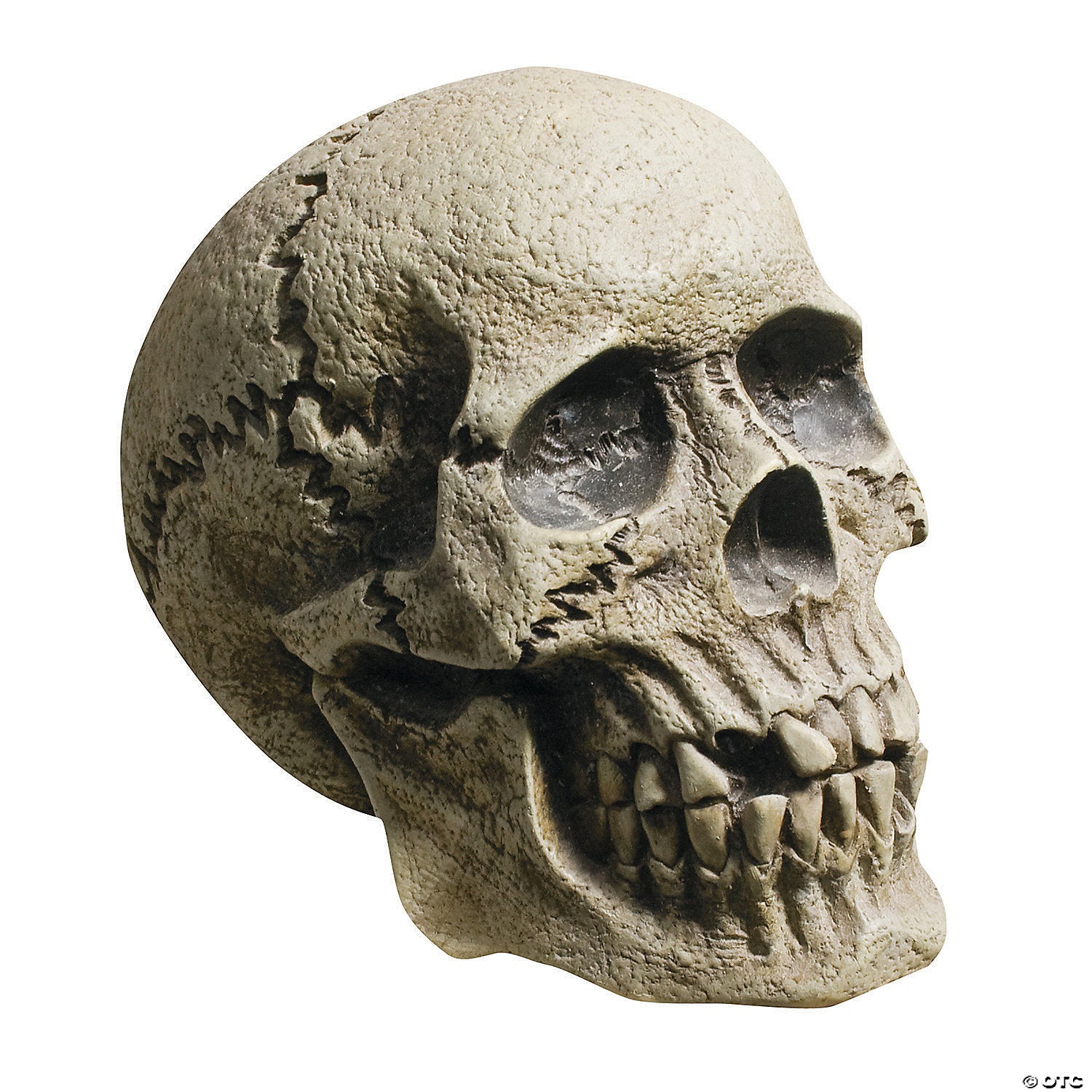 realistic rotting skull decoration~mr122235