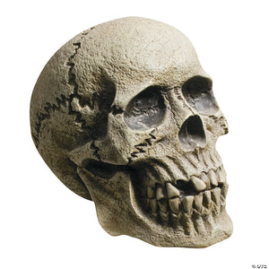 realistic rotting skull decoration~mr122235