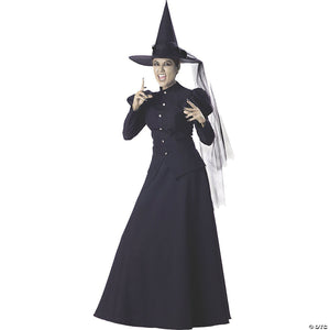 women s wicked witch deluxe costume   extra large~ic1022xl