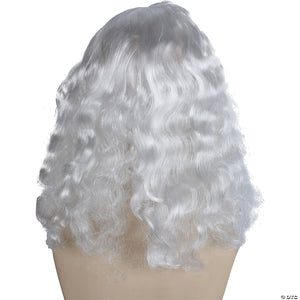 men s special bargain biblical wig set   white~lw157wt-a02