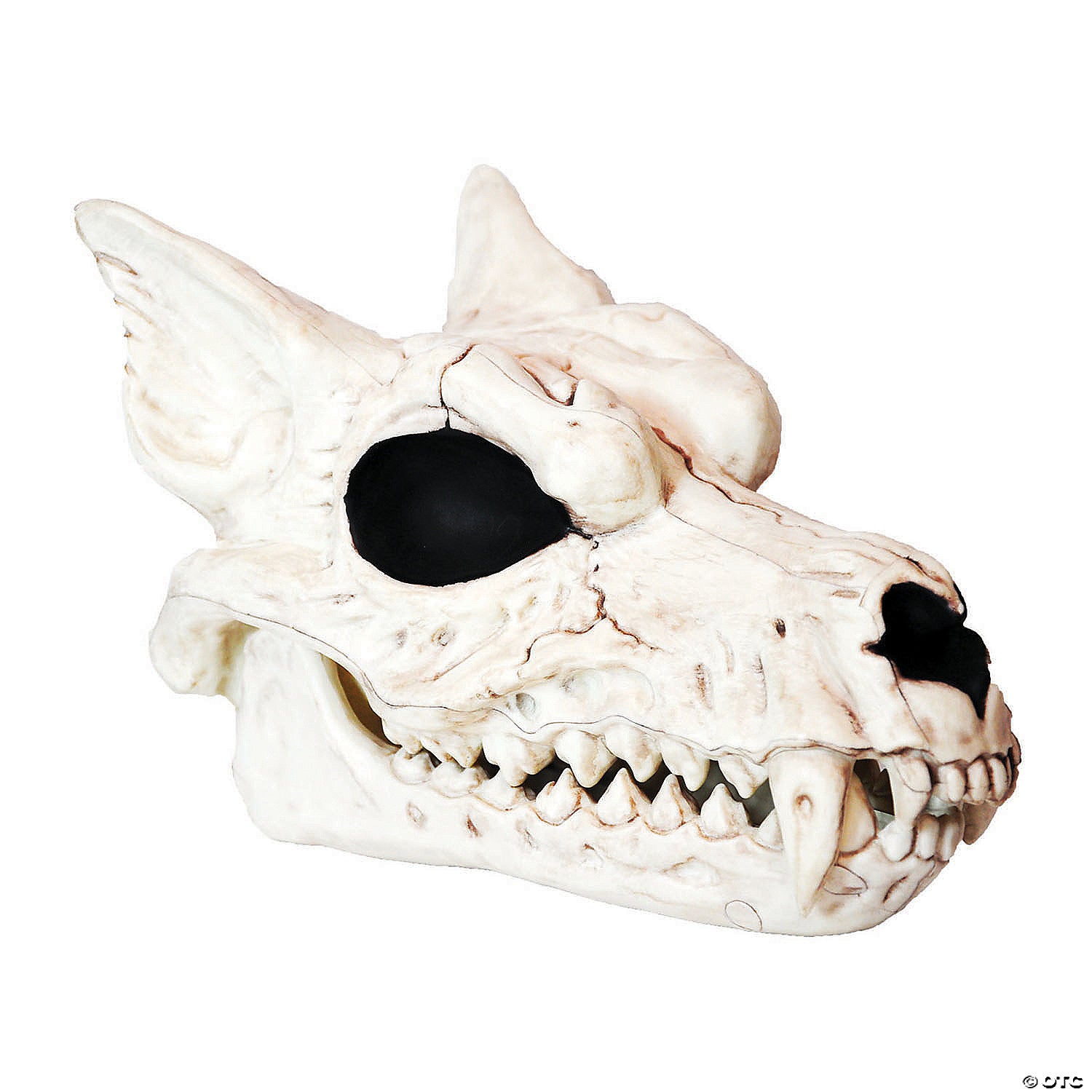 werewolf skull halloween decoration~sew80699