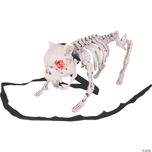 barking dog skeleton halloween decoration~ss89191