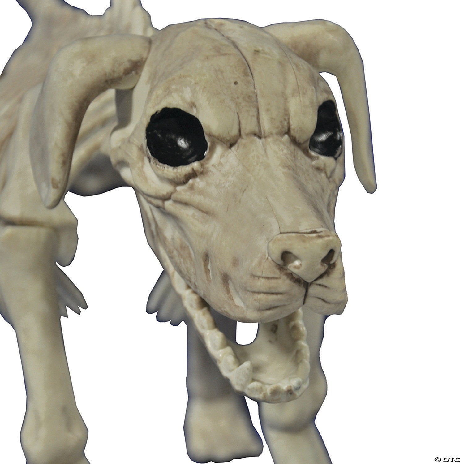 beagle bonez dog skeleton halloween decoration~se18131-a01