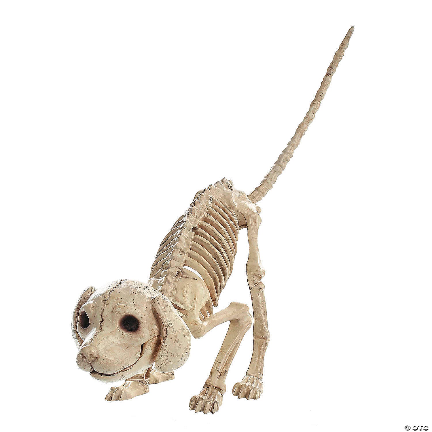 4  standing puppy plastic skeleton halloween decoration~sew80684