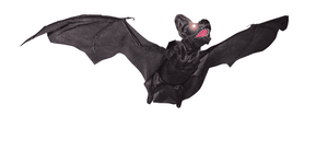 flying-bat-prop-latex-67.png