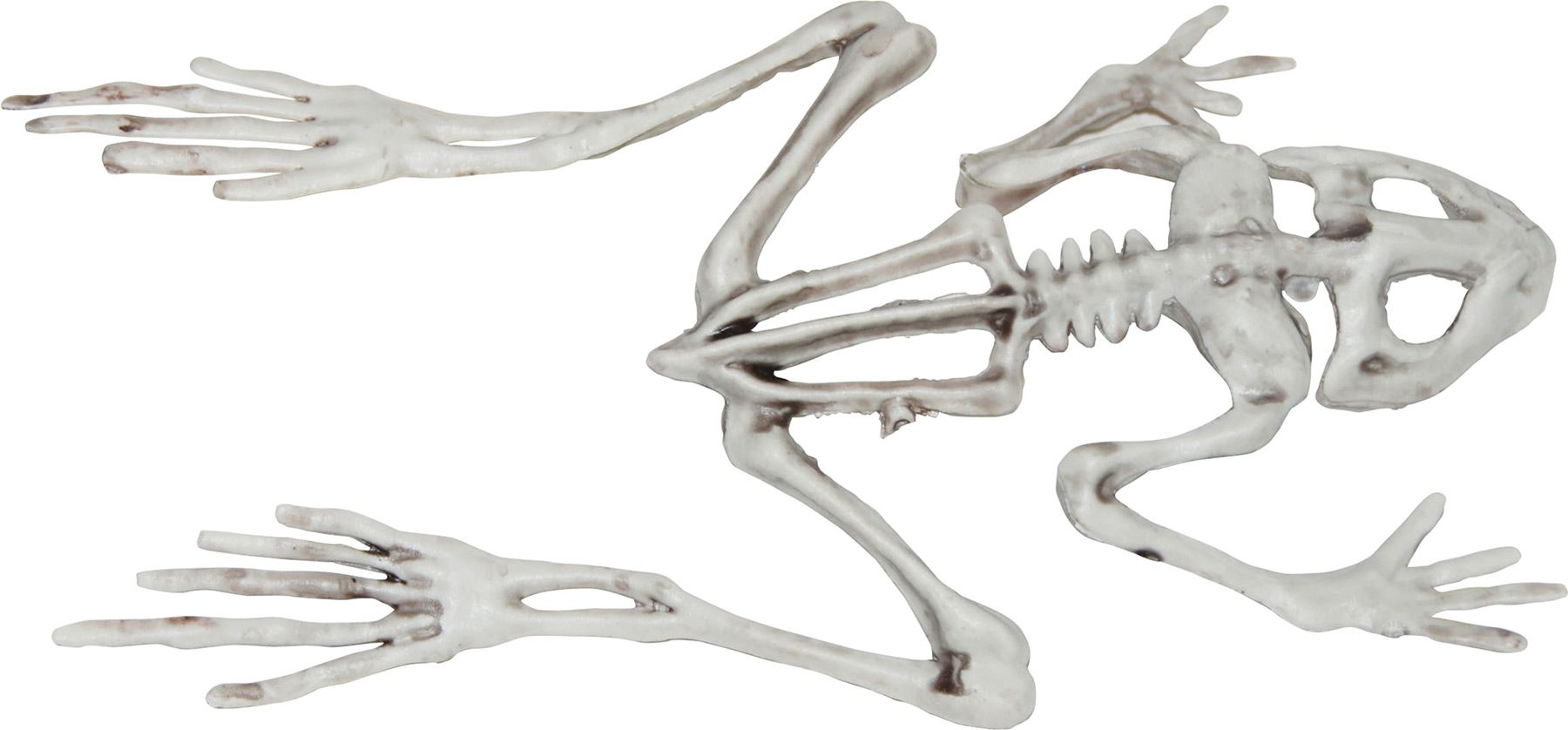 frog-skeleton-costume-20.png