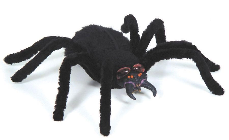 giant-spider-half-size-35.png