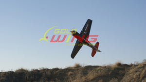 goldwing-sbach-342-remote-control-airplane-71.png