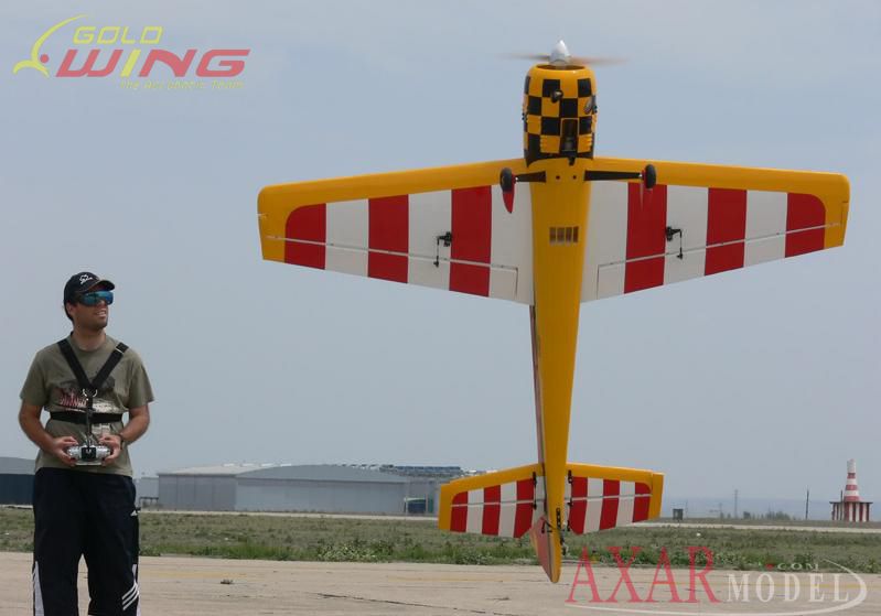 goldwing-yak-88-remote-control-airplane-89.png