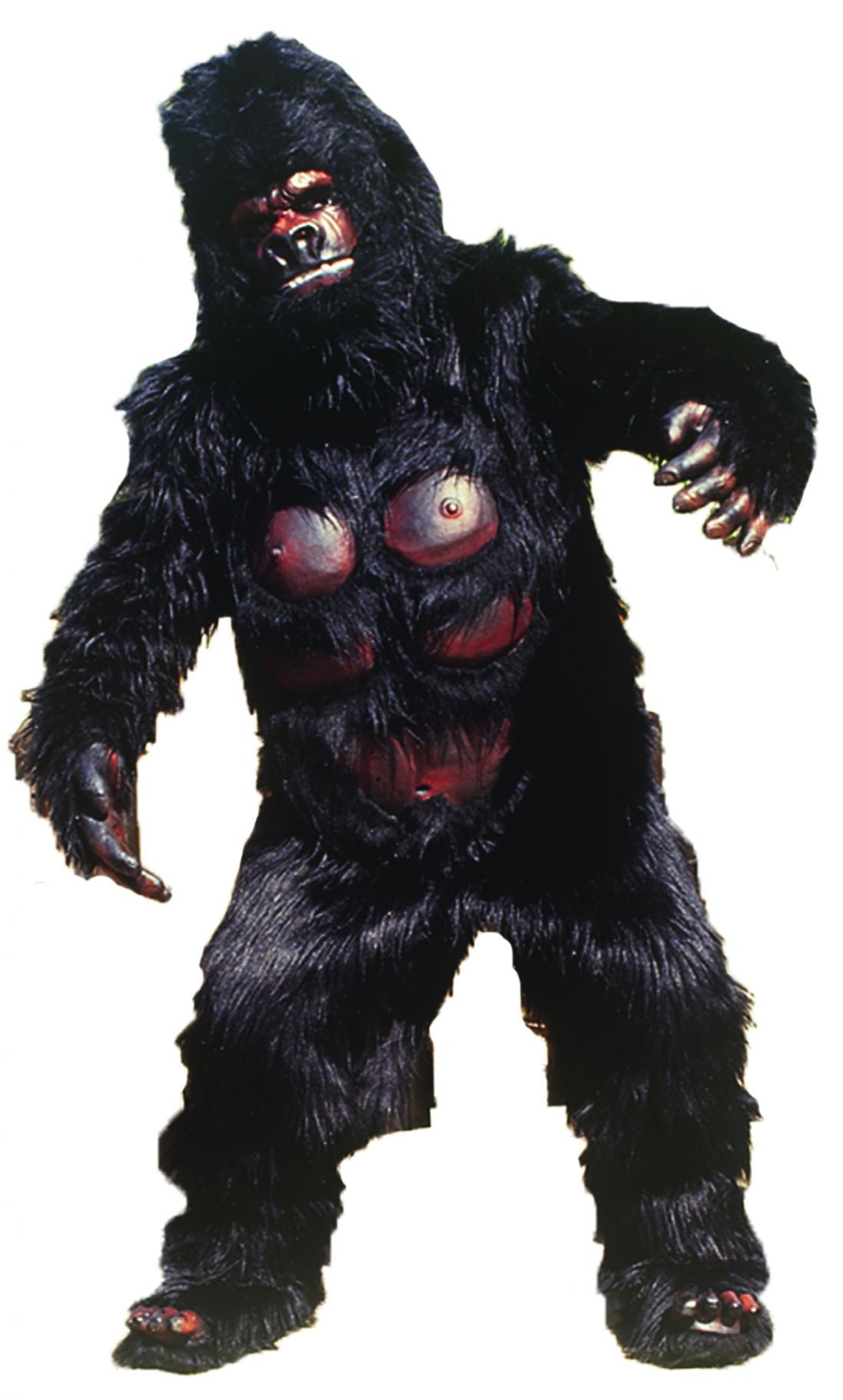 gorilla-as-pictured-52.png