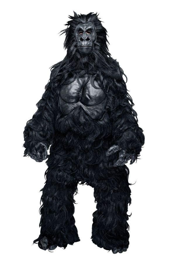 gorilla-hairy-35.png