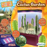 grow-a-mini-cactus-garden-light-cube-22.jpg